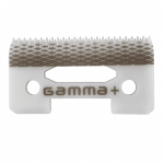Gamma+