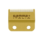 Gamma+