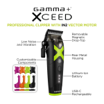gamma+